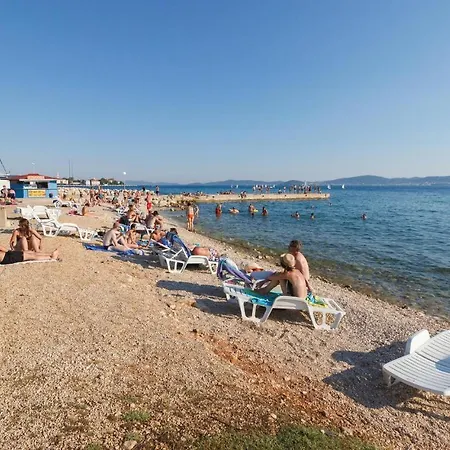 81 With Game * Zadar